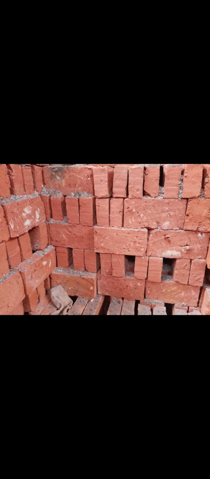 Bata merah jumbo Parung panjang 